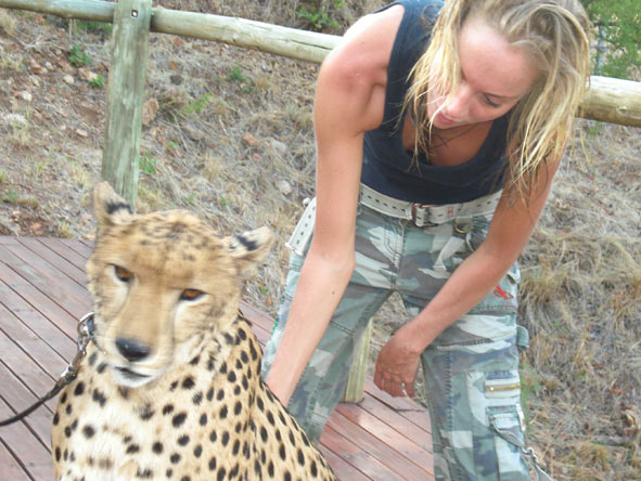 Lisa Liprini - cheetah interaction experience